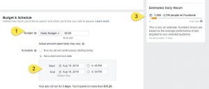 Screenshot of some of the cost choices that can be made for Facebook ads